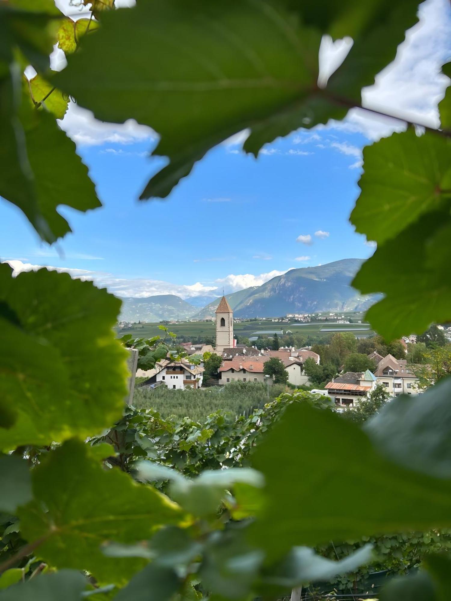 Angerblick Apartment Appiano Sulla Strada Del Vino Exterior foto